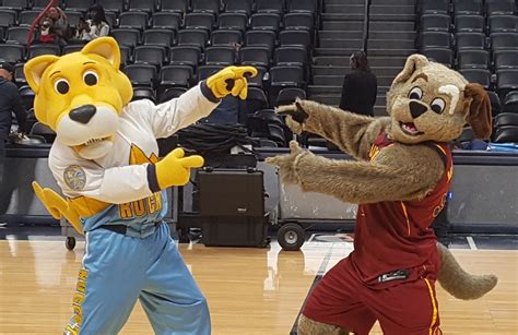 Safety of mascots in question after Nuggets blackout